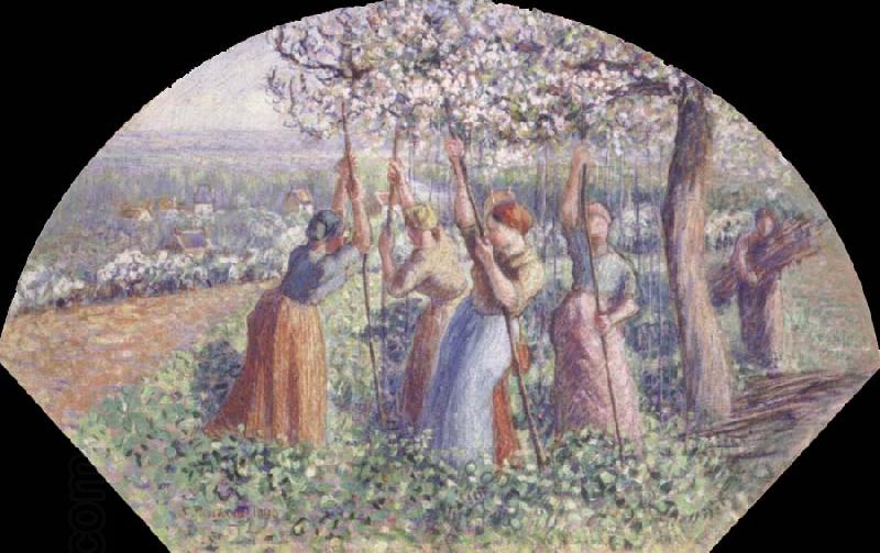 Camille Pissarro Peasant Women Placing pea-Sticks in the Ground oil painting picture